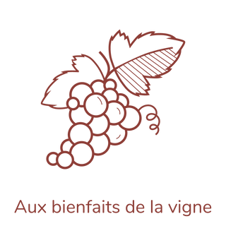 Savon cépage enrichi aux bienfaits de la vigne avec polyphénols antioxydants huile de pépins de raisin huile végétale marc de raisin bio engagé en surgras 8% des savons