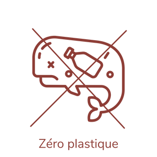 Zéro plastique garanti sauvegarde des océans et animaux marins préservation de la nature et de la biodiversité