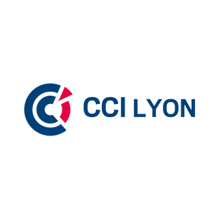 CCI Lyon Vaise CCI formation programme Je construis mon projet en partenariat avec La région Auvergne Rhône Alpes
