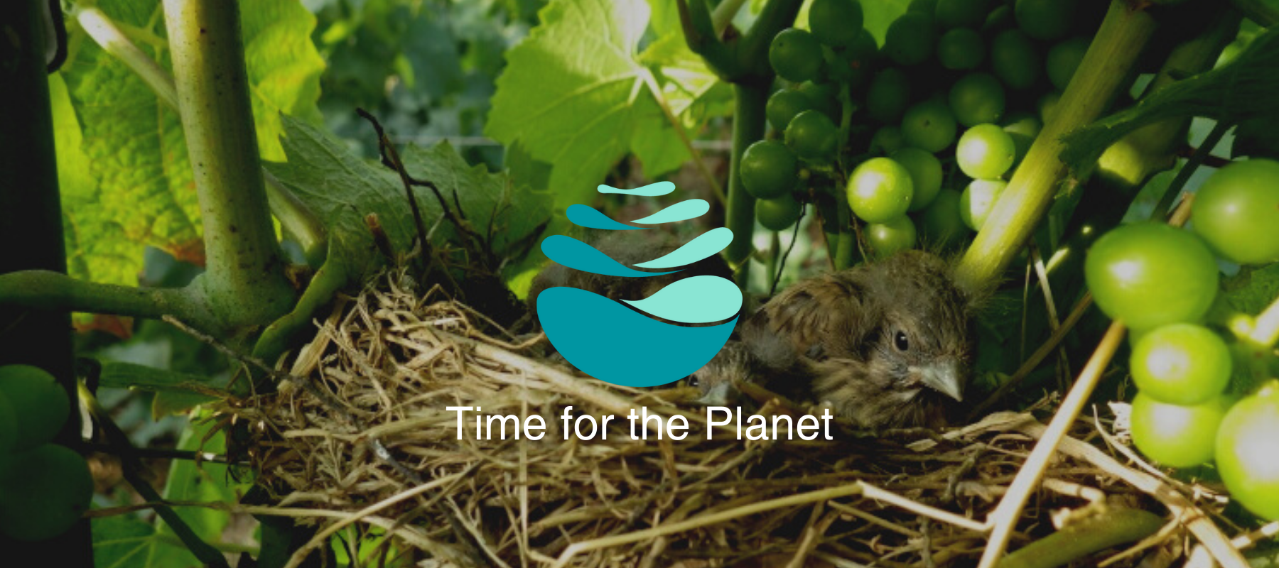 Vie.gne s'engage et s'associe à Time for the Planet TFTP pour lutter contre le réchauffement climatique et préserver la biodiversité et le vivant sur notre planète. Rejoignez le premier mouvement citoyen pour le climat.